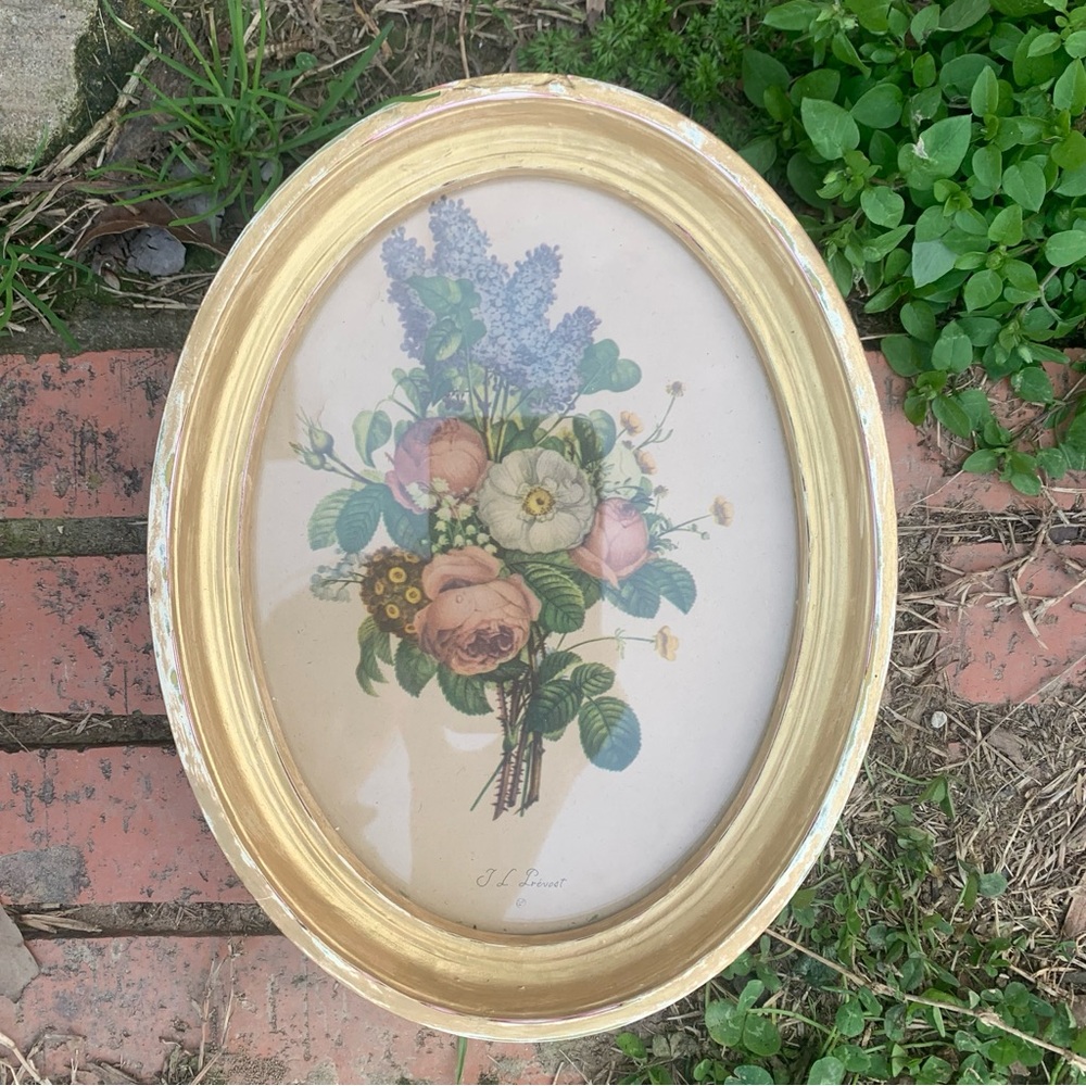Vintage Framed Oval Botanical Print by Jean Louis (J.L.) Prevost Cottagecore Art - Picture 14 of 16